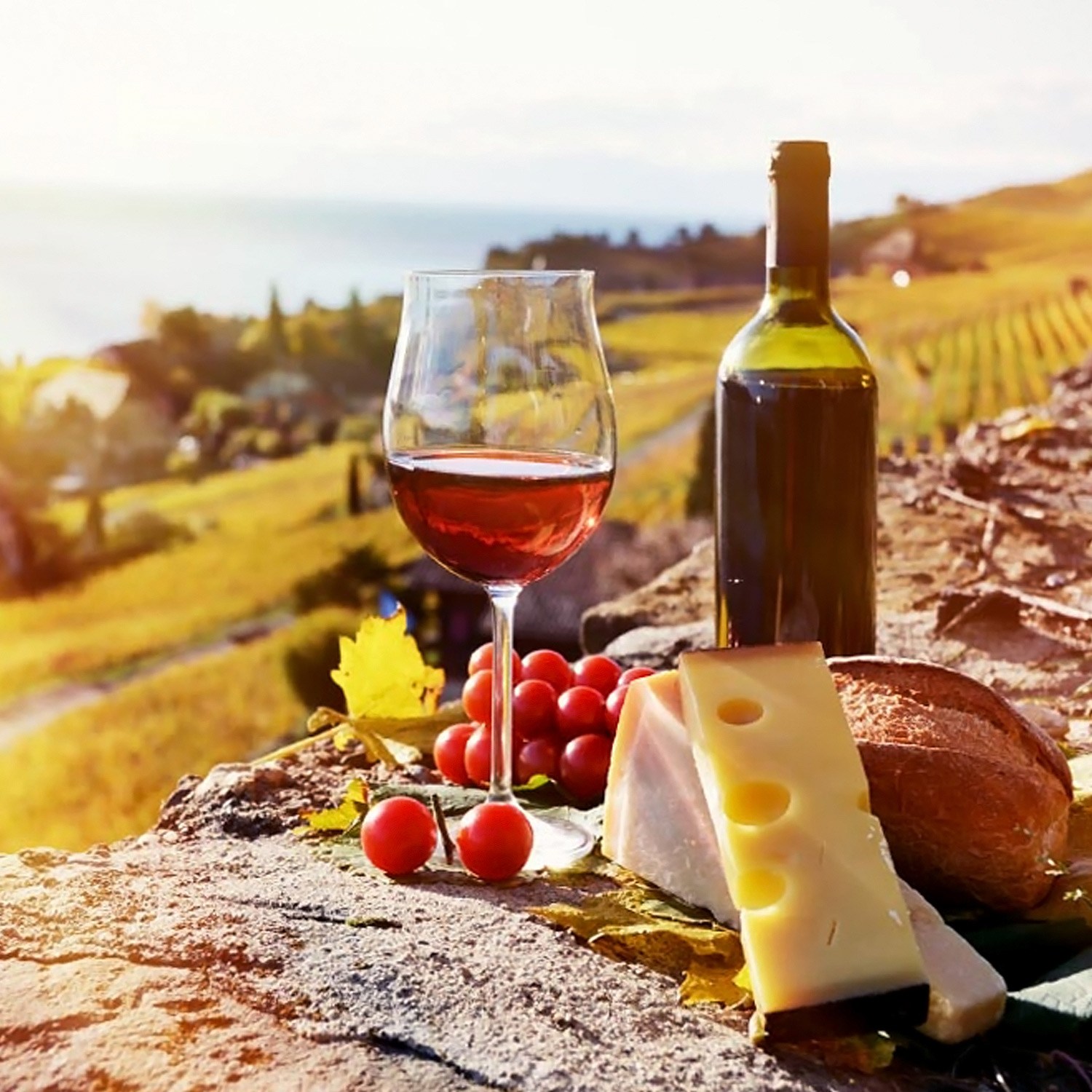 로얄리프 부르고뉴 그란데 크루 레드와인 크리스탈 와인잔 1P, 1개, 700ml 42,000원