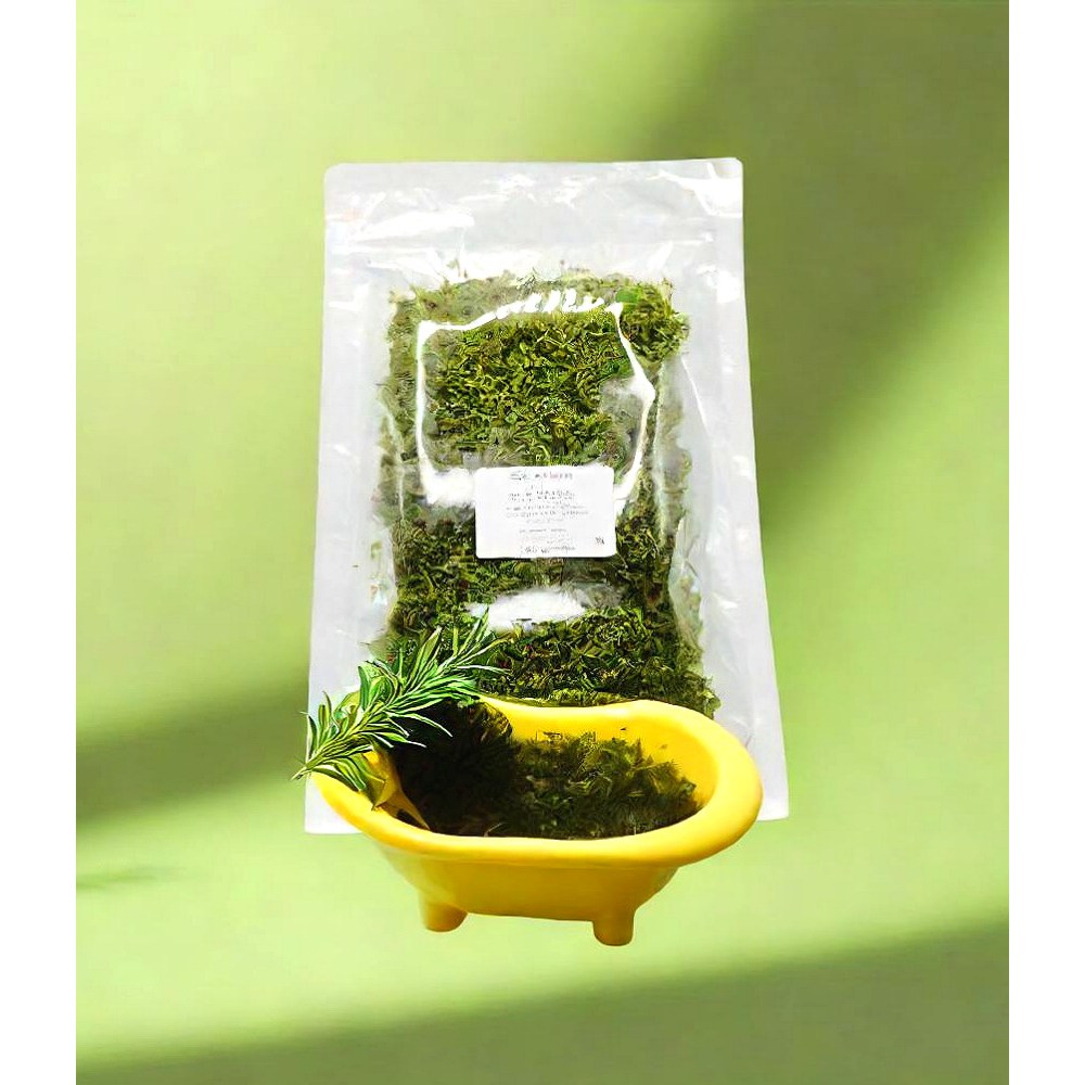 테라리움 비바리움 반려식물 깃털이끼 생이끼 관찰활동 음지식물 6,700원