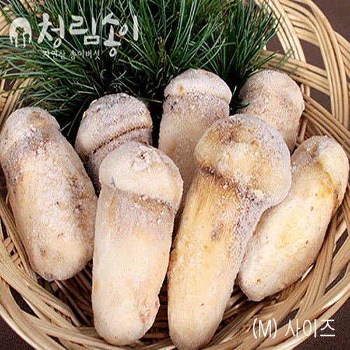 (청림송이,능이) 자연산 냉동송이버섯 (특품), 1개, 냉동송이/BS/1kg 52,500원