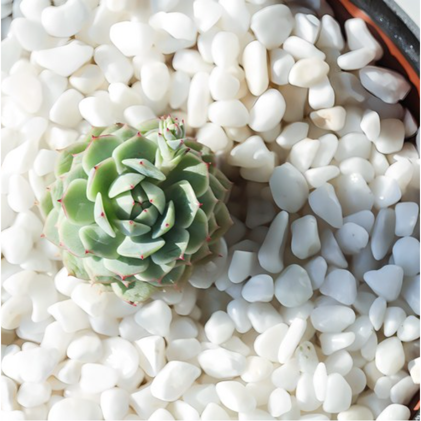 수아쿠아 백자갈 3~5mm 49,800원