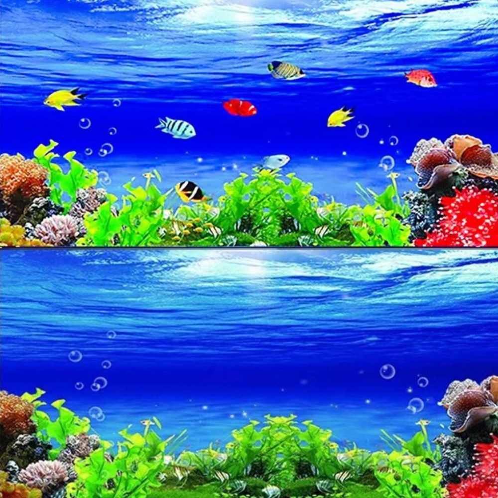어항 백스크린 벽화 열대어 도마뱀 입체 고화질 벽지 그림 해수어 배경 12,700원