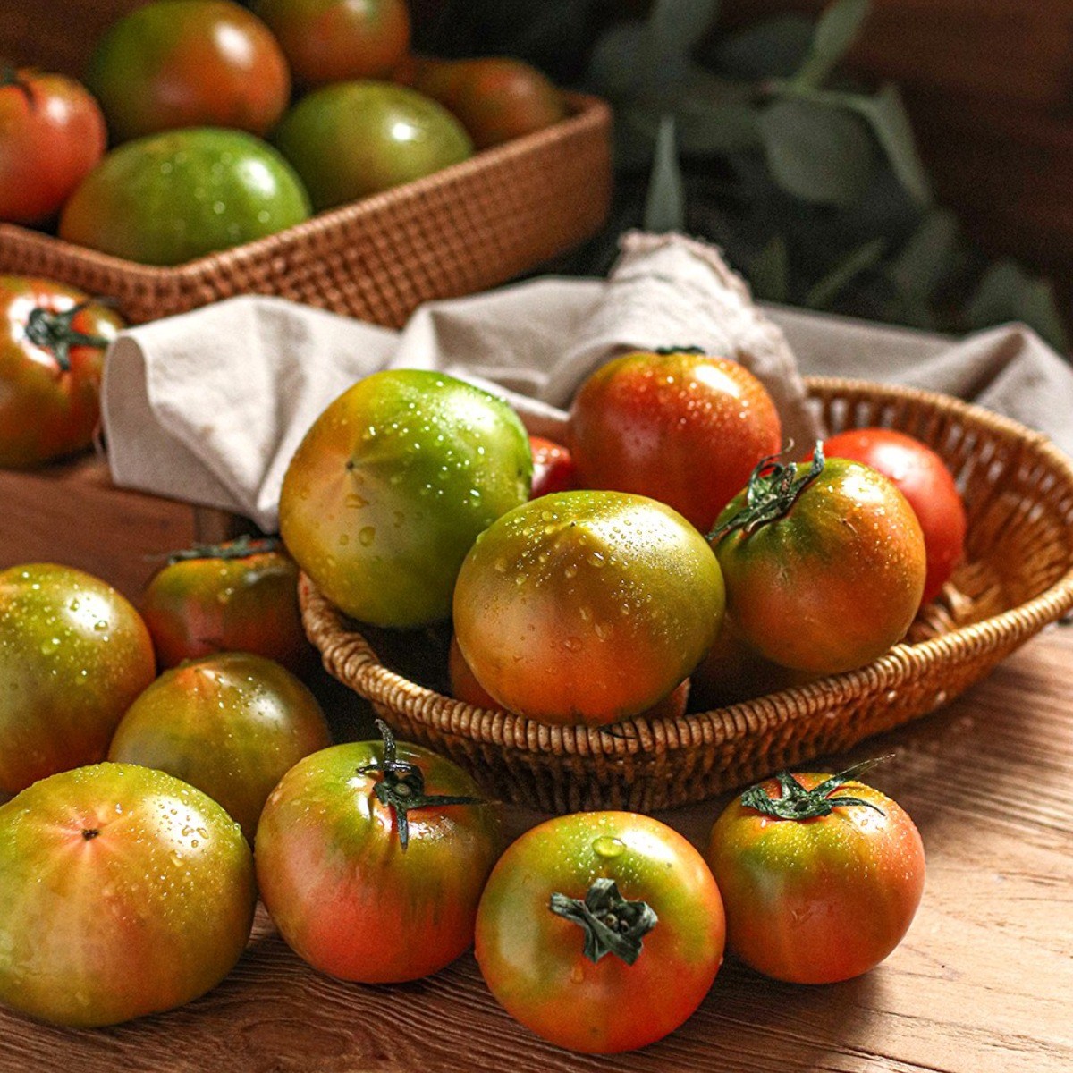 10Brix 이상 초고당도 최상급 대저 단짠단짠 토마토 산지직송 로얄과 1kg 2kg 94,900원