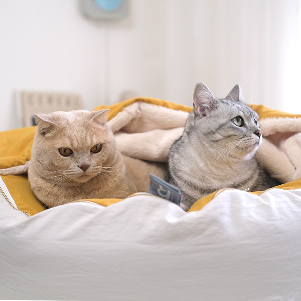 홈랩 기절 펫 강아지이불 베개 고양이 숨숨집 세트 3색상 39,900원