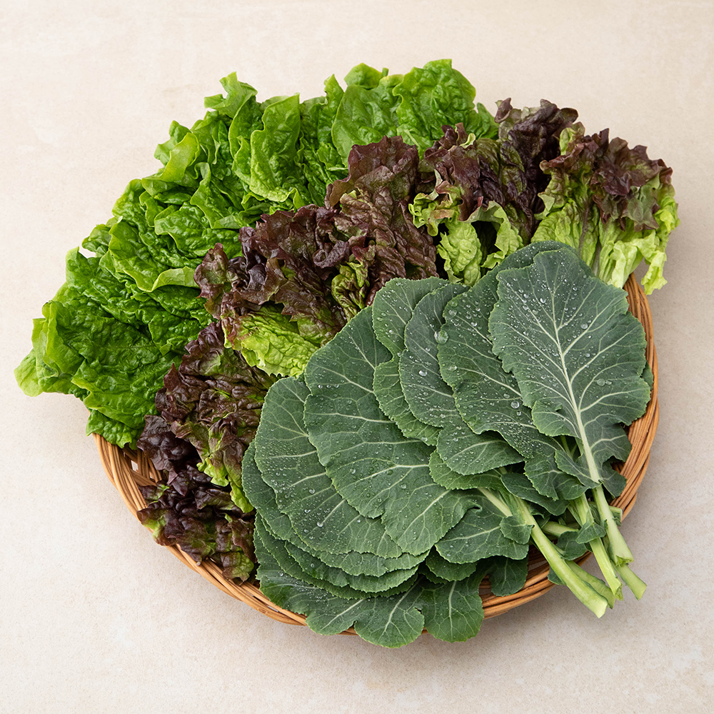 국내산 친환경 야채모듬쌈 3,330원