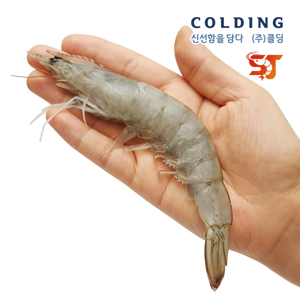콜딩 에콰도르 페루 사우디 흰다리새우 2kg 냉동대하 간장새우 대하구이 35,000원