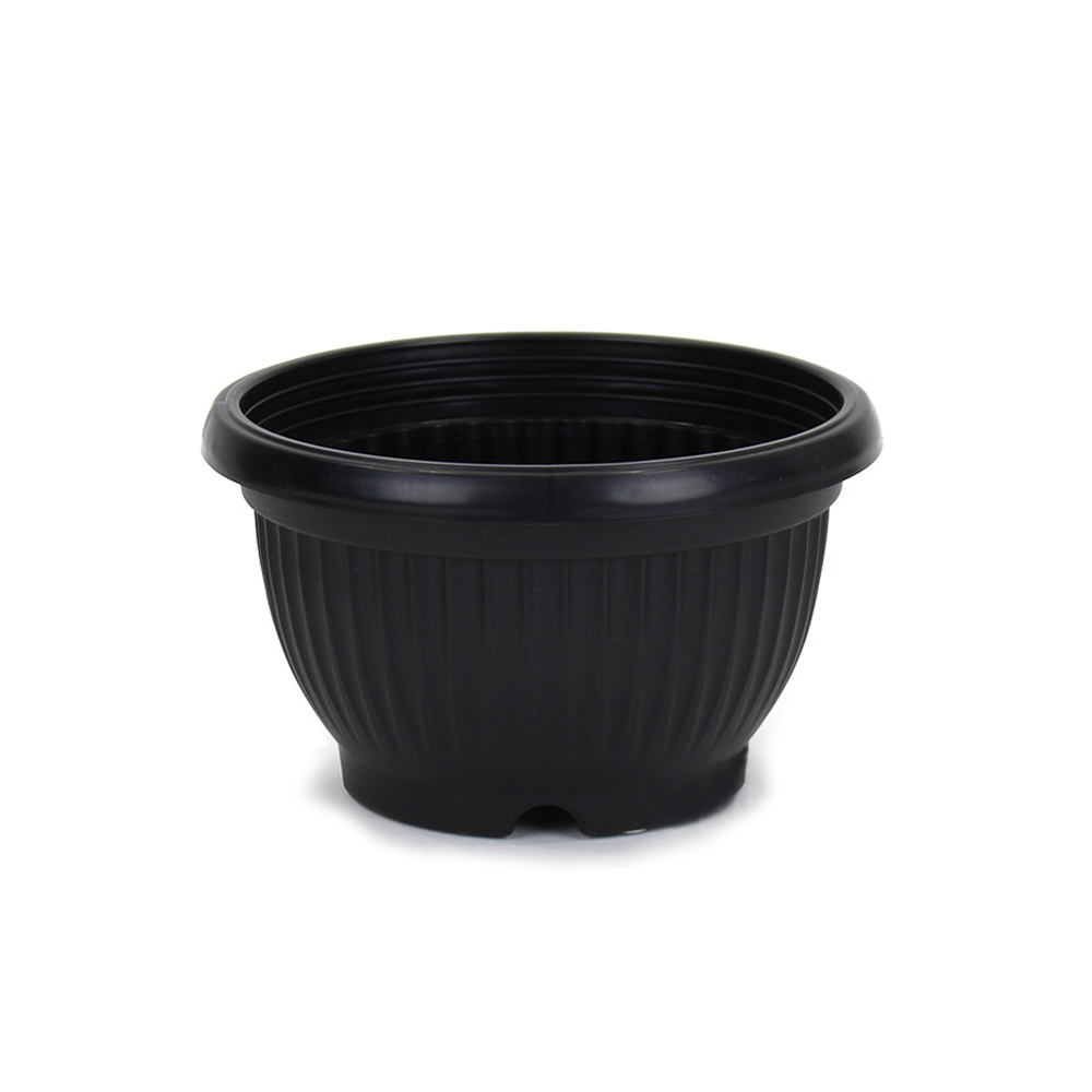 모두다 분재 플라스틱 화분 플분 골분, 1개 1,000원