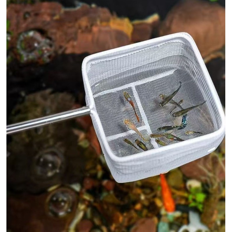 안테나 길이 조절 어항 뜰채 새우 구피 열대어 치어 미니 수족관 6,900원