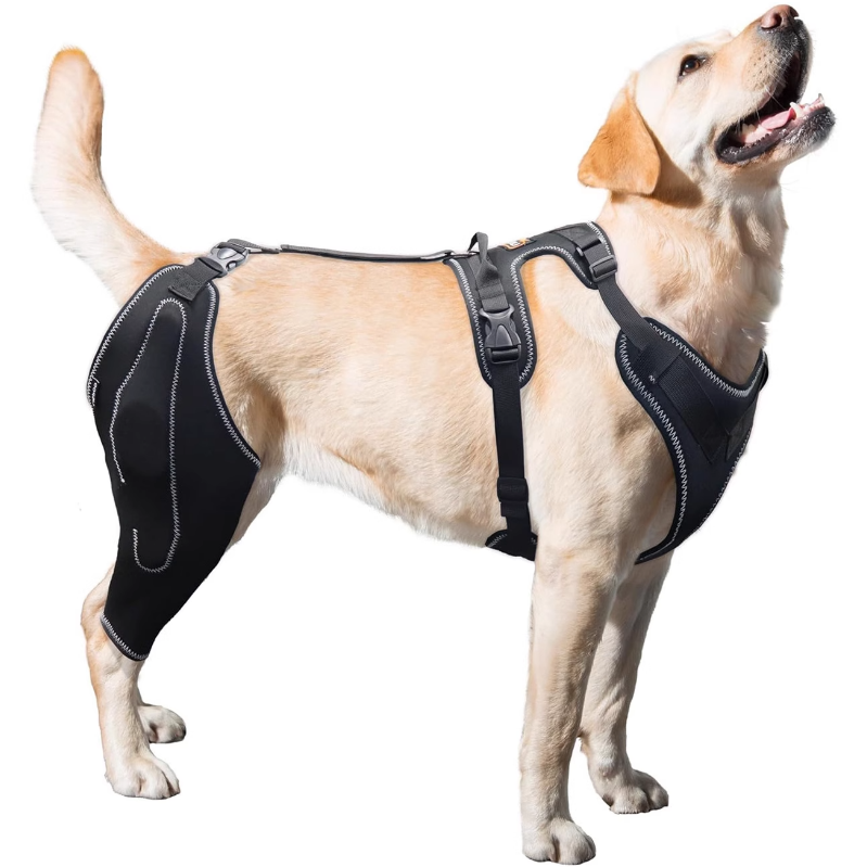 허그마이펫 대형견 강아지 슬개골 무릎 관절 보호대 59,890원