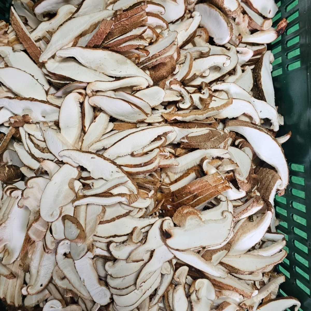 [서산여미표고]GAP인증 생표고버섯 가정용 상품, 1박스, 1kg(생표고슬라이스) 13,460원