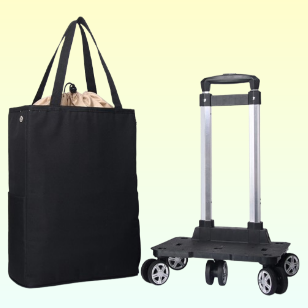 보들램 접이식 장바구니 카트 무소음 보냉 시장바구니 캐리어, 1개 43,800원