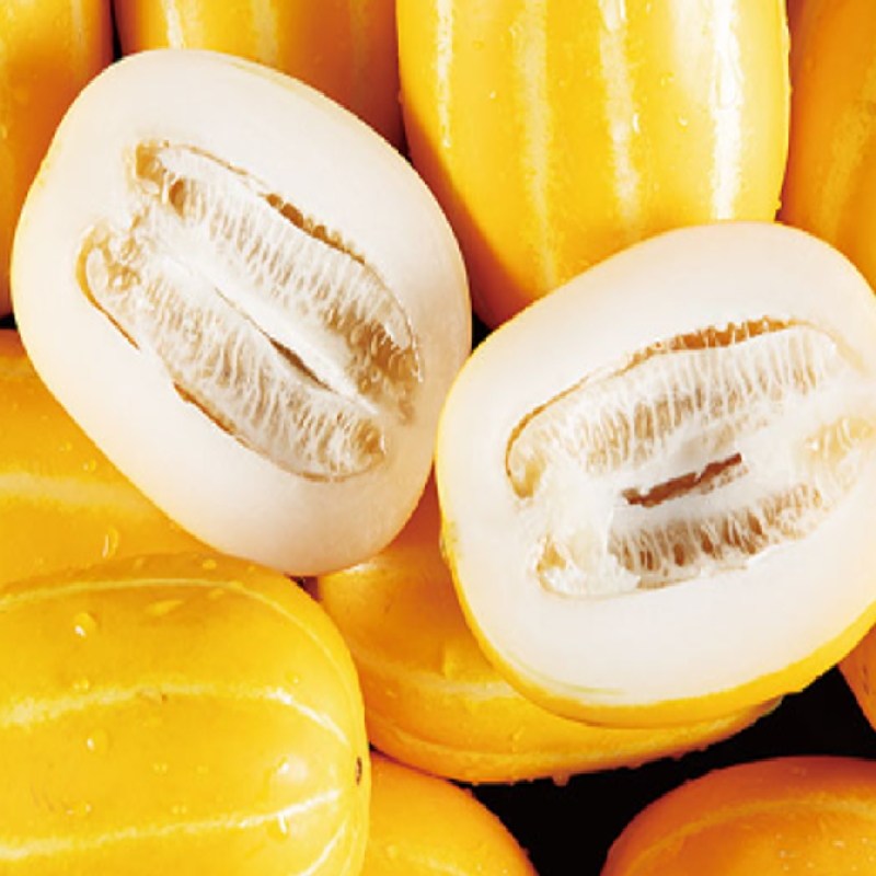 성주 햇 참외 당도선별 꿀참외, 1박스, 선물용 로얄과 10KG 중과 159,000원