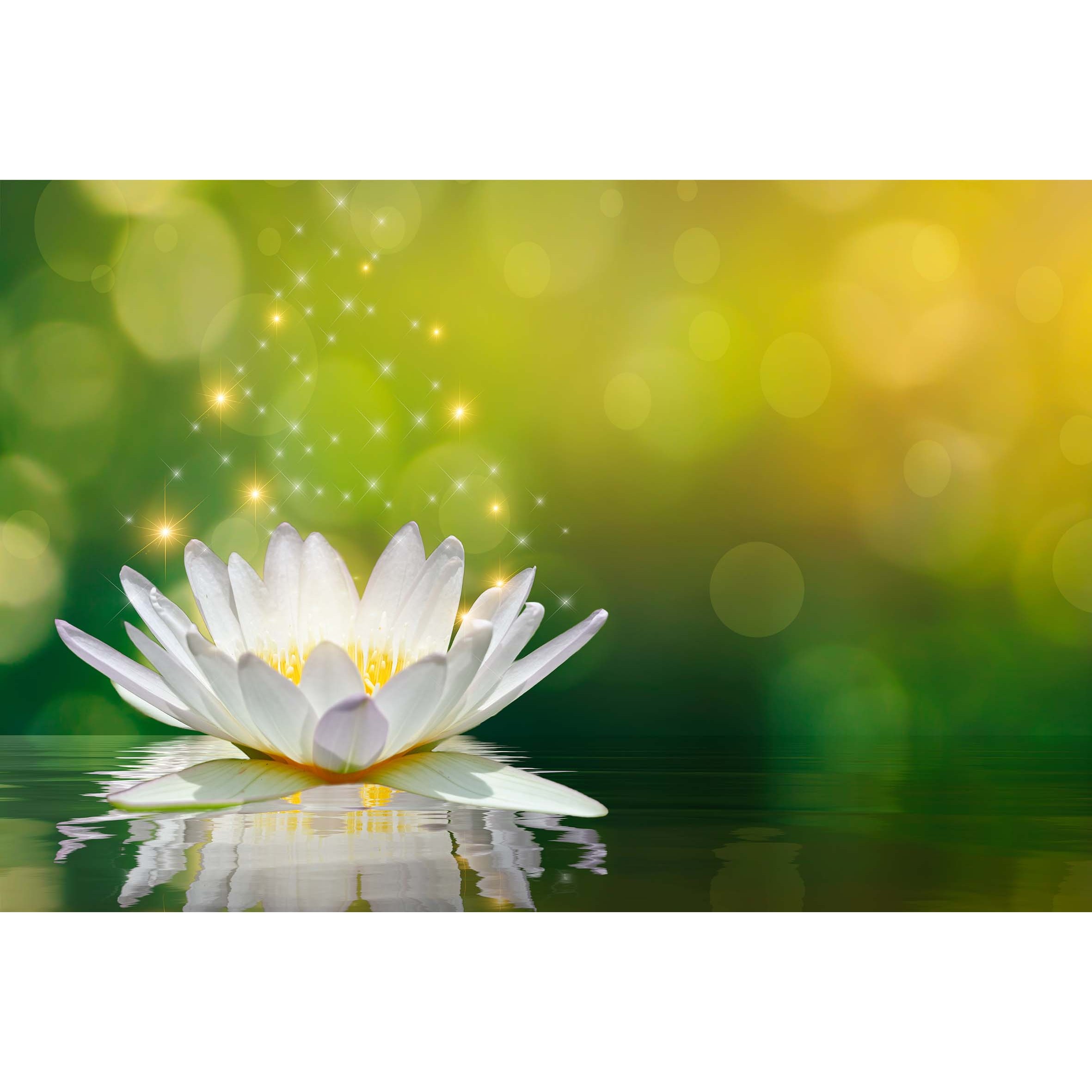 코나 주방아트보드 주방 벽 타일 셀프 인테리어 기름튐방지 연꽃3 75,900원