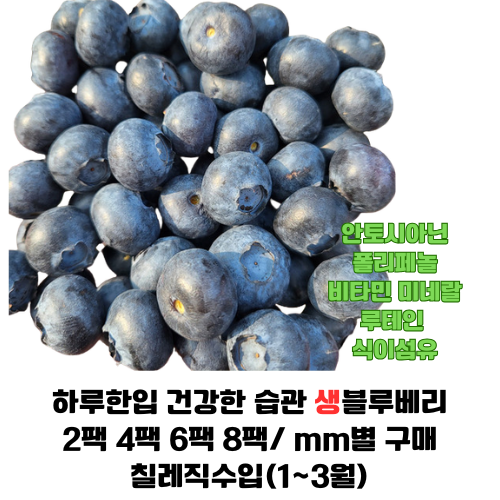 생 블루베리 2팩 4팩 6팩 8팩/ 세계10대 슈퍼푸드 비타민 안토시아닌 폴리페놀 루테인 매일 한입씩 건강습관 45,900원