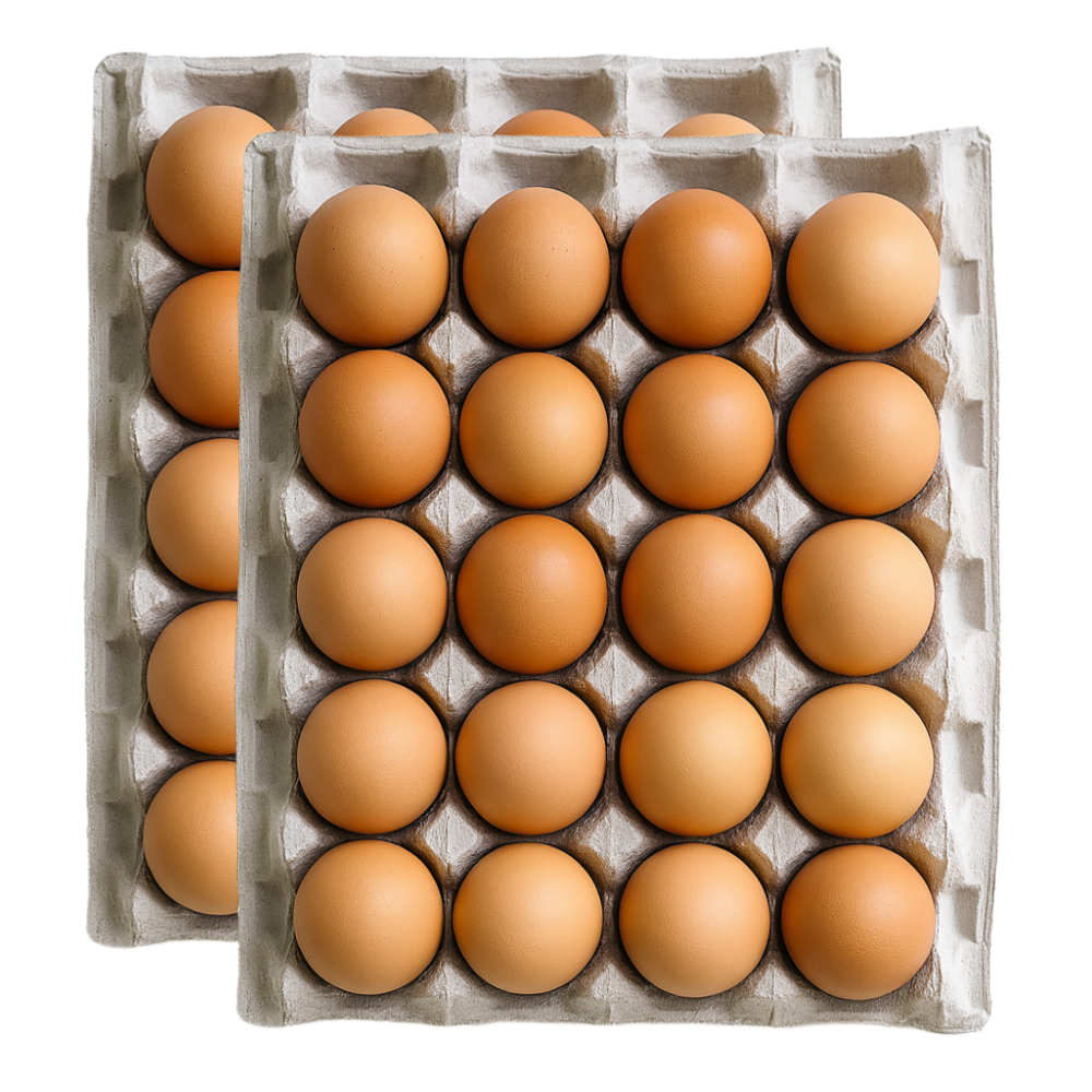 난각번호1번 유정란 달걀 계란 무항생제 자연방사 24,900원