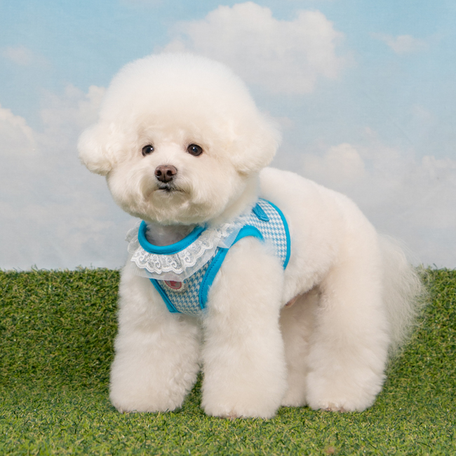 핑카홀릭 강아지 다비 하네스 HB7863, 블루, 1개 34,000원