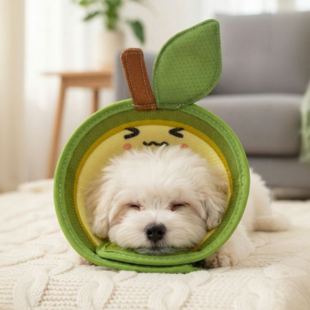 드림베이스 초경량 넥카라 반려동물 3D 통기형 상처 보호 전용 강아지 고양이 겸용 17,000원