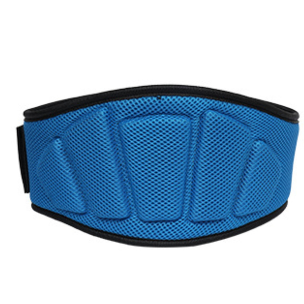앞날창창 헬스 리프팅 스쿼트 서포트 벨트, 1개, 블루 18,010원