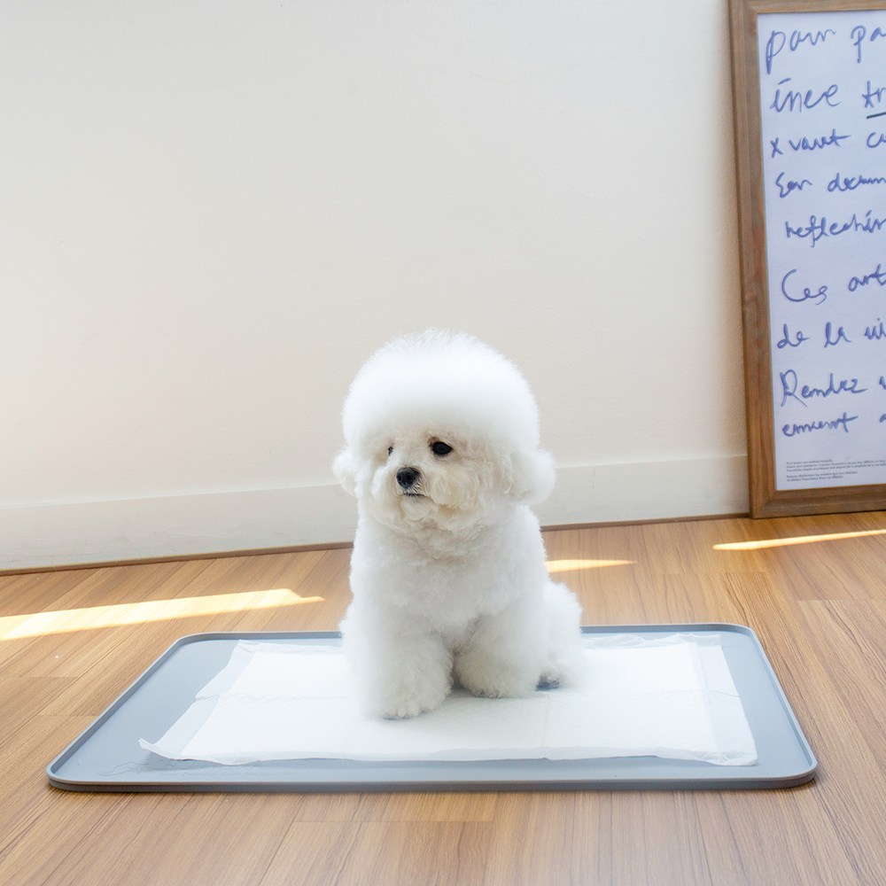 [플리다스] 착붙 실리콘 배변매트 논슬립 배변판 표준형 10,210원