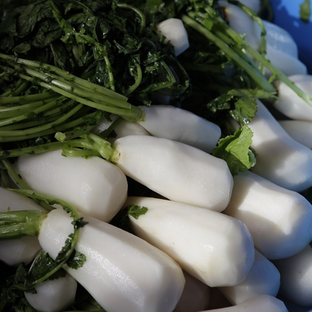 [특품] 강원도 국내산 절임 알타리 알타리무 총각무, 1개, 5kg 42,900원