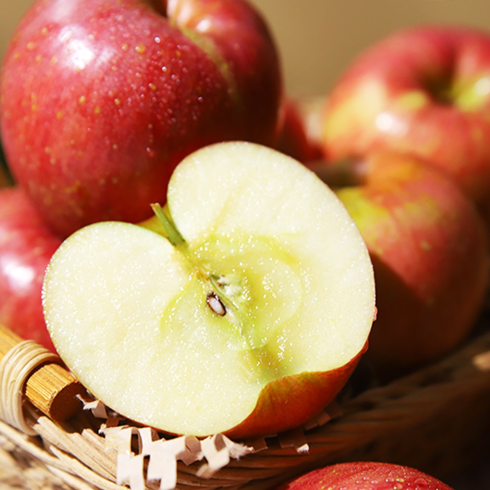 경북사과 청송 꿀부사 고랭지 햇사과 가정용 흠과 대과 5kg 10kg, 1개, 흠과 가정용 특대과10kg(20~26수) 94,800원