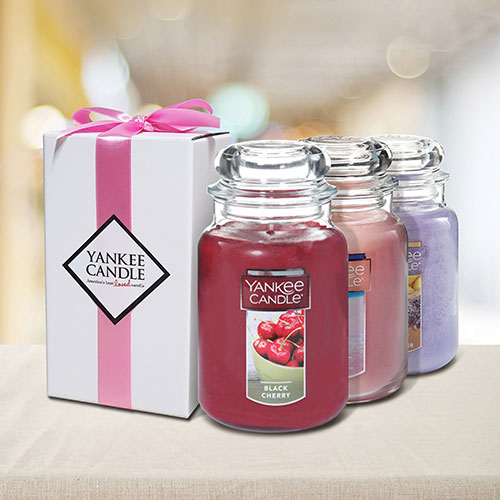 [정품] 양키캔들 자캔들 라지자 623g BEST향 모음 - 리본 선물상자 + 쇼핑백 포함 24,500원