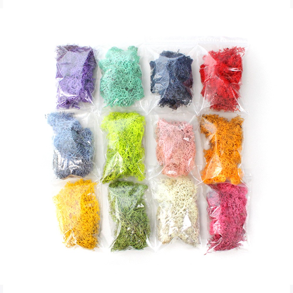 스칸디아모스 10g /천연이끼 공기정화식물, 네이비 1,100원