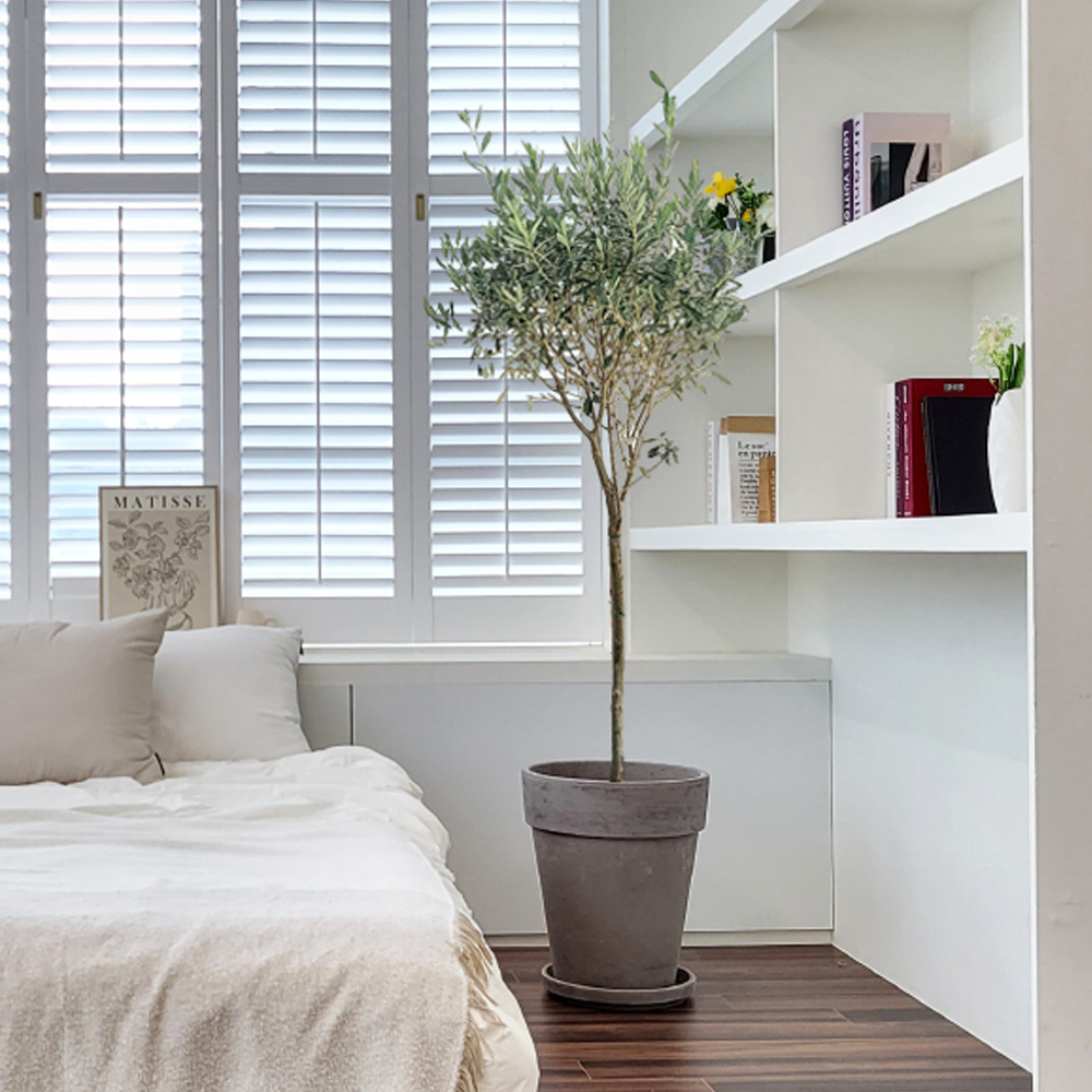 농원청년 바솔트토분 인테리어식물 거실화분 실내화초 개업식화분 개업화분 공기정화식물 승진화분 영전화분 사무실 카페 매장 공간 인테리어화분 스투키 쉐프렐라 홍콩야자 극락조 349,000원