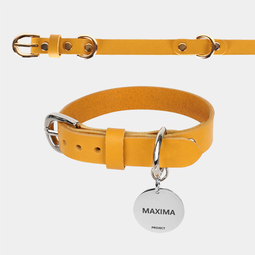 MX PET 베지터블 가죽 목줄 325X MUSTARD 강아지 소 중 대형 각인, 머스타드/리드줄셋업형, 1개 58,900원