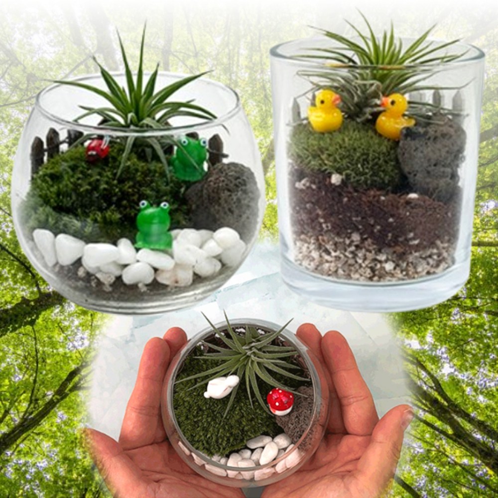 이끼 비바리움 만들기 미니 테라리움유리병 시니어만들기 키트 9,700원