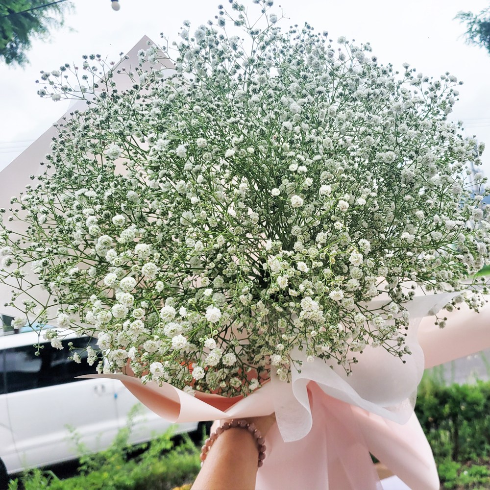 안개 생화 부케 꽃다발 셀프 웨딩촬영 부토니에 농장직송 생화택배 꽃배달싼곳 25,900원