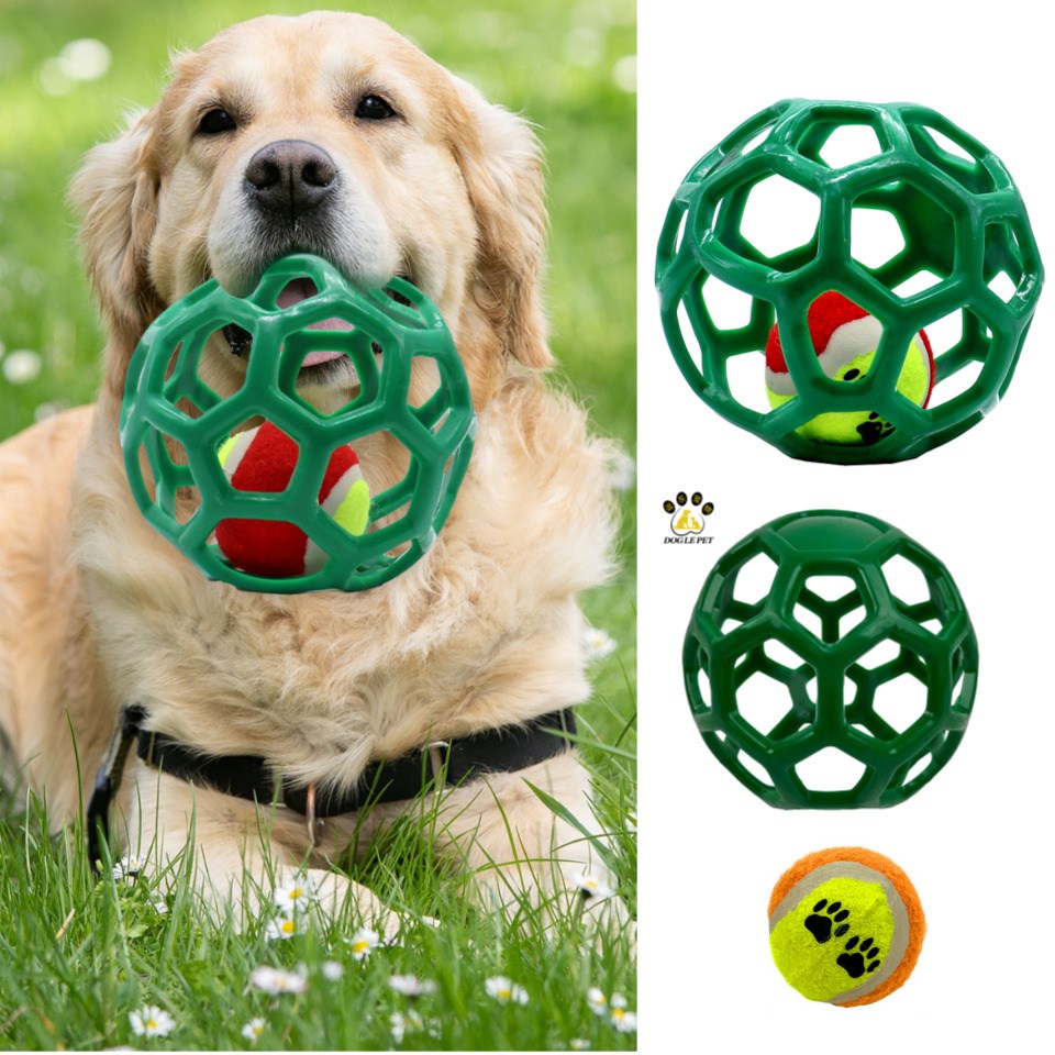 [당일출고] 강아지 놀이 분리불안 인형 삑삑이 장난감 반려견 노즈워크, 1개, 공, 현재가 11,900원