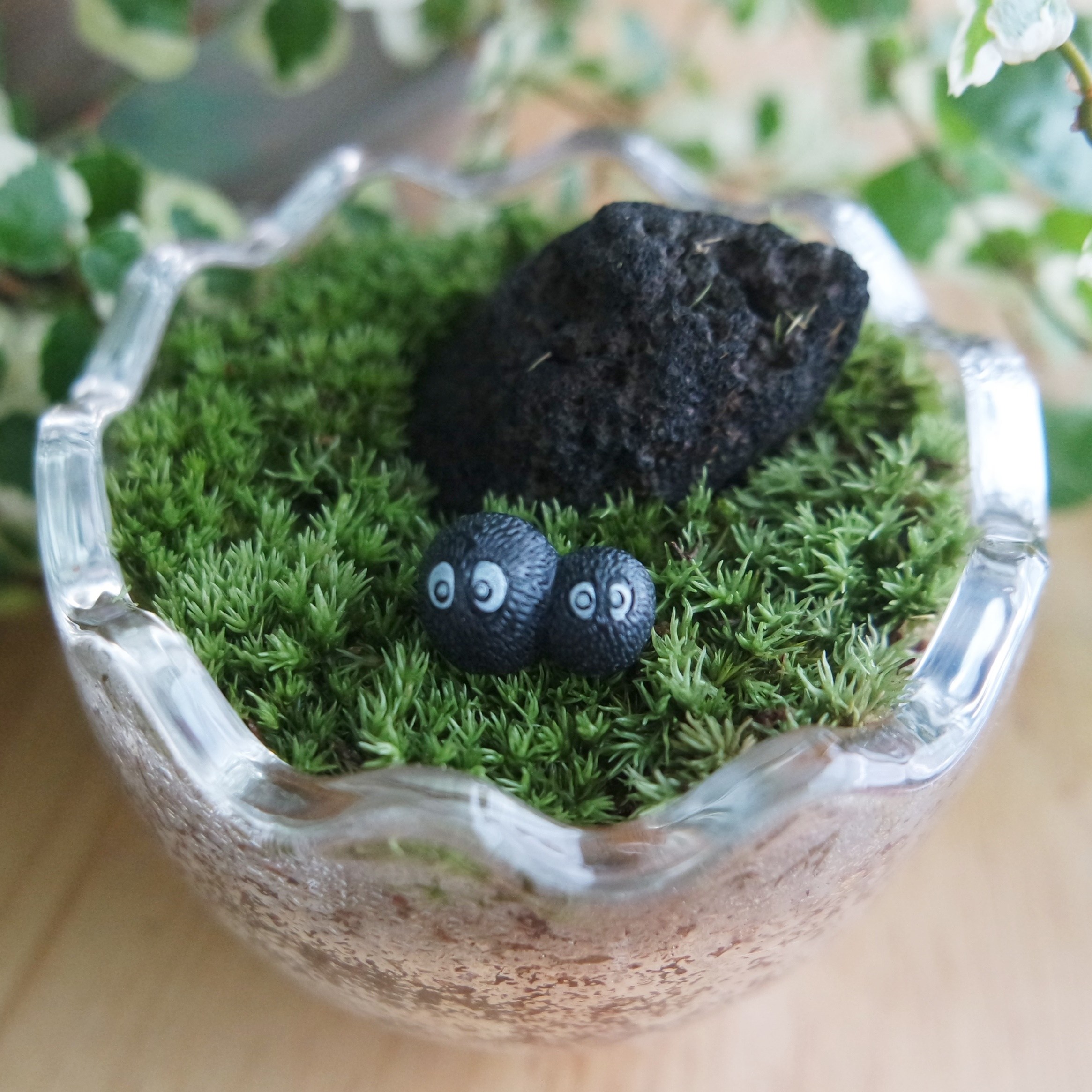 에그팟 비단이끼 테라리움 키트 (사은품 : 미니나무 미니어쳐), 1개 13,500원