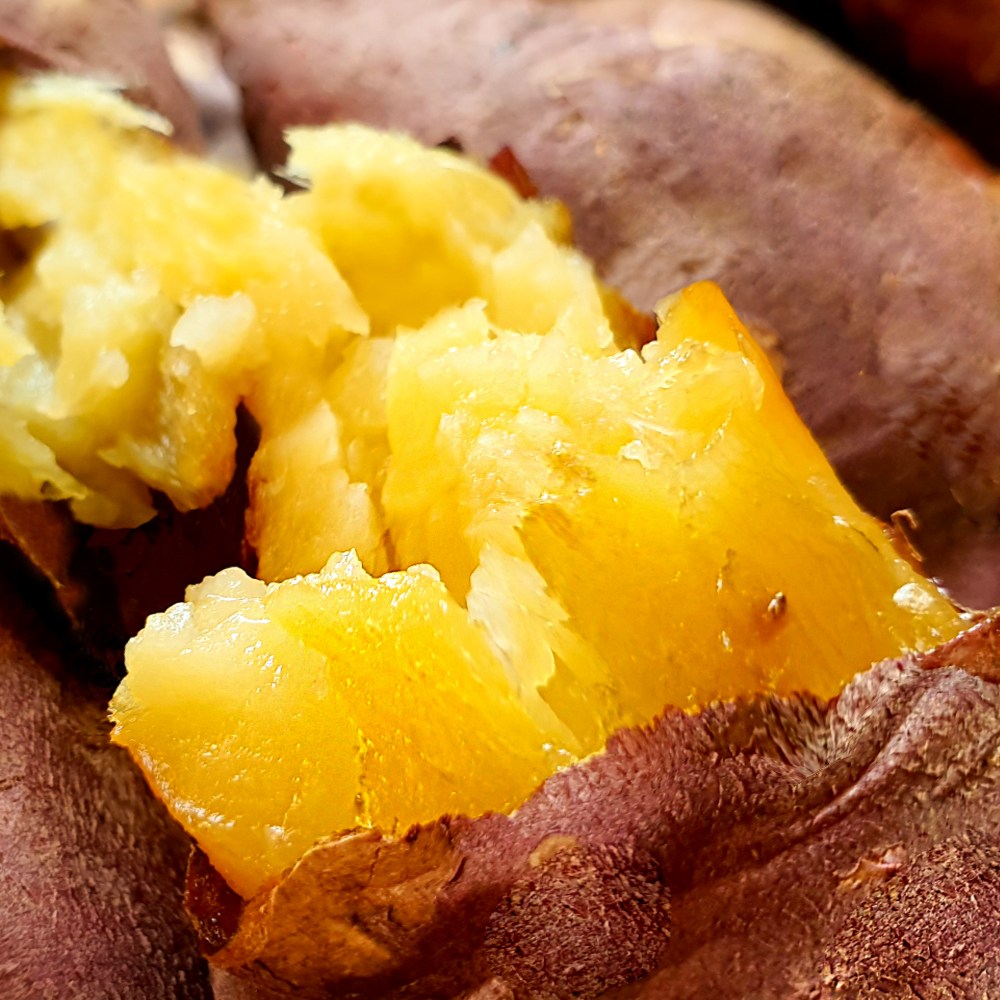 진품인증 받은 해남고구마 20,800원