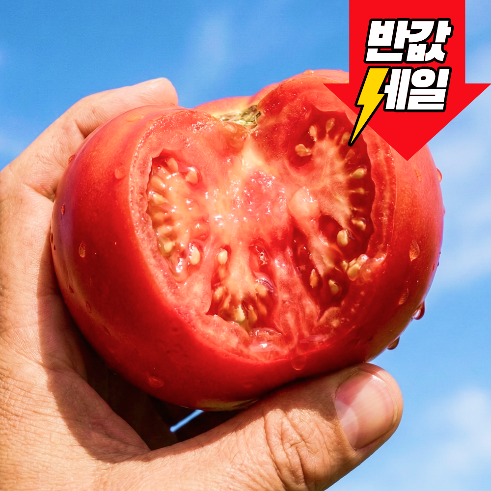 [반값할인] 딱100명만 천상의맛 특품 완숙토마토 30,900원