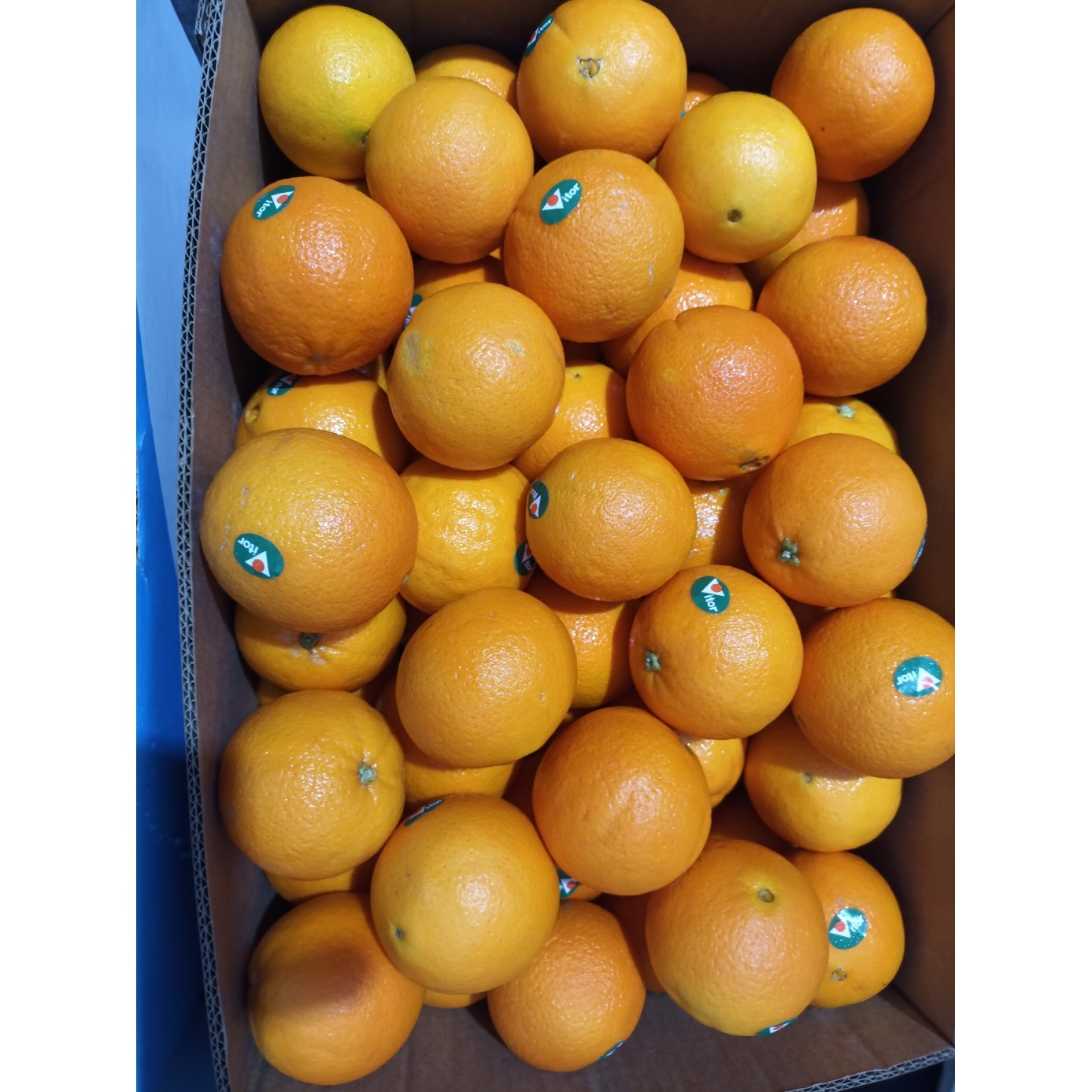 [프리미엄등급] 과즙 풍부하고 달콤한 네이블 오렌지 가정에서 편하게 즐기는 네이블 오렌지 상큼달콤한 균형 좋은 네이블 오렌지, 1개, 이하나몰 네이블 오렌지 56과(17kg) 대과 1박스 177,900원