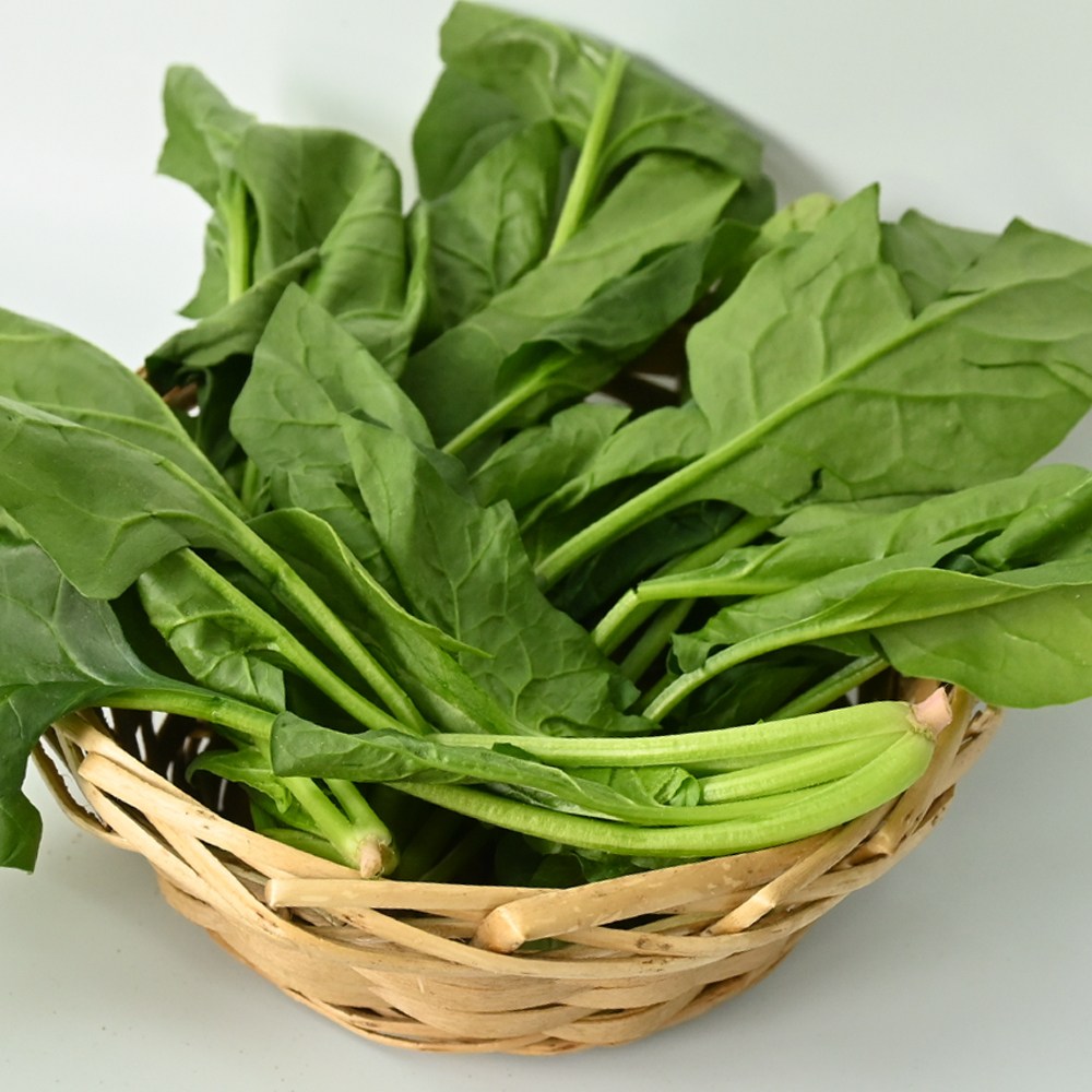 남해의 보물같은 시금치 남해초, 1개, 4kg 26,800원