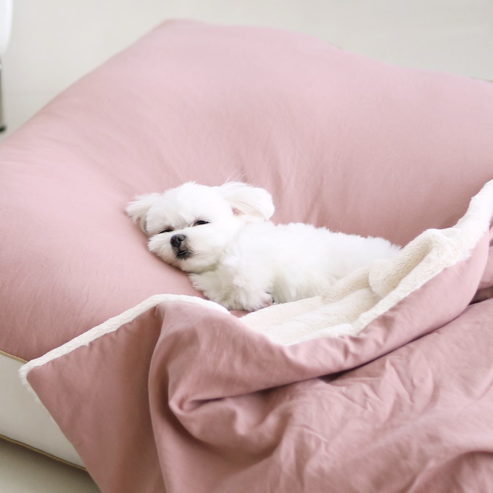 홈랩 알러지케어 강아지 겨울 이불 고양이 담요 베개세트 3colors 2size, 1개, 머스타드 34,900원