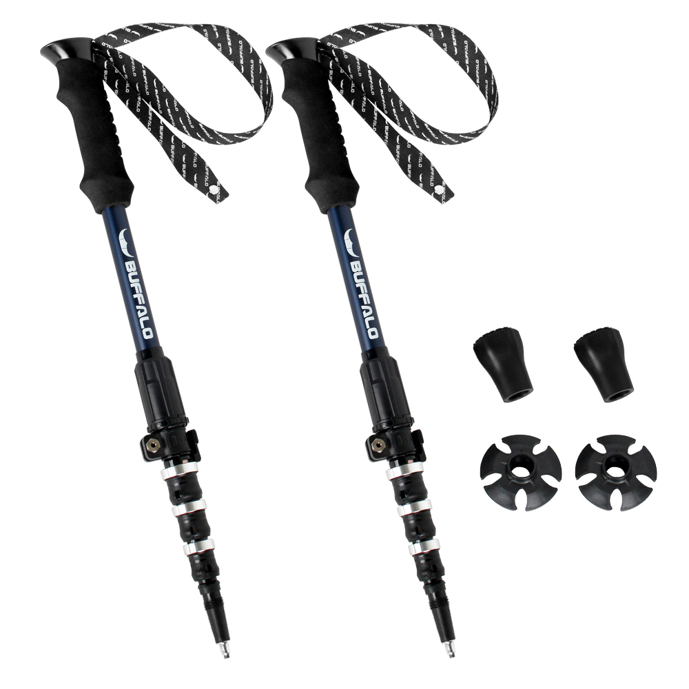 버팔로 써밋엑스 P&P 5단 등산스틱 2p 세트, 블루, 1세트 79,000원