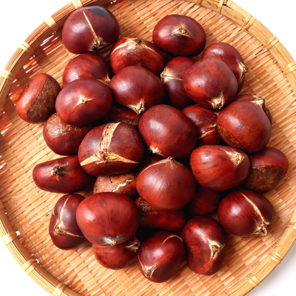 25년 최고급 햇 약단밤 칼집약단밤 1kg+1kg [구워먹는밤] 출시 22,900원