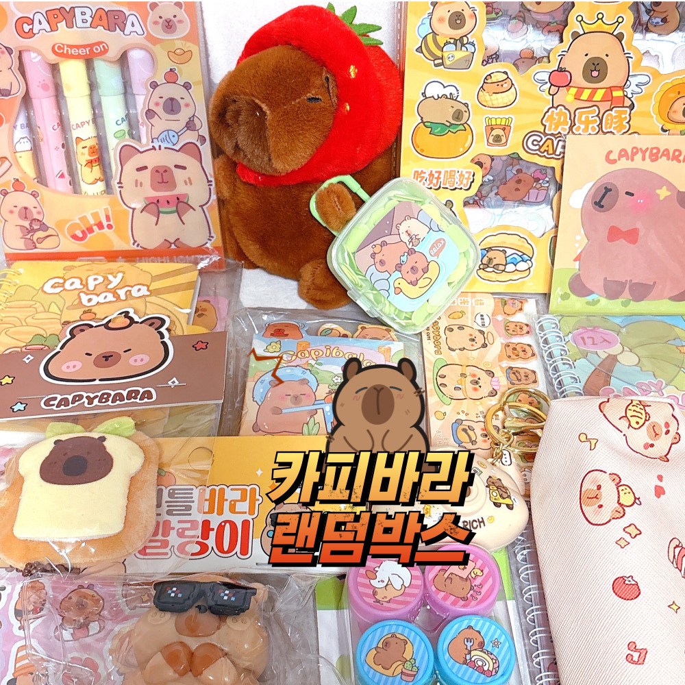 카피바라 랜덤박스 럭키박스 왕푸짐 (한정수량) 9,900원