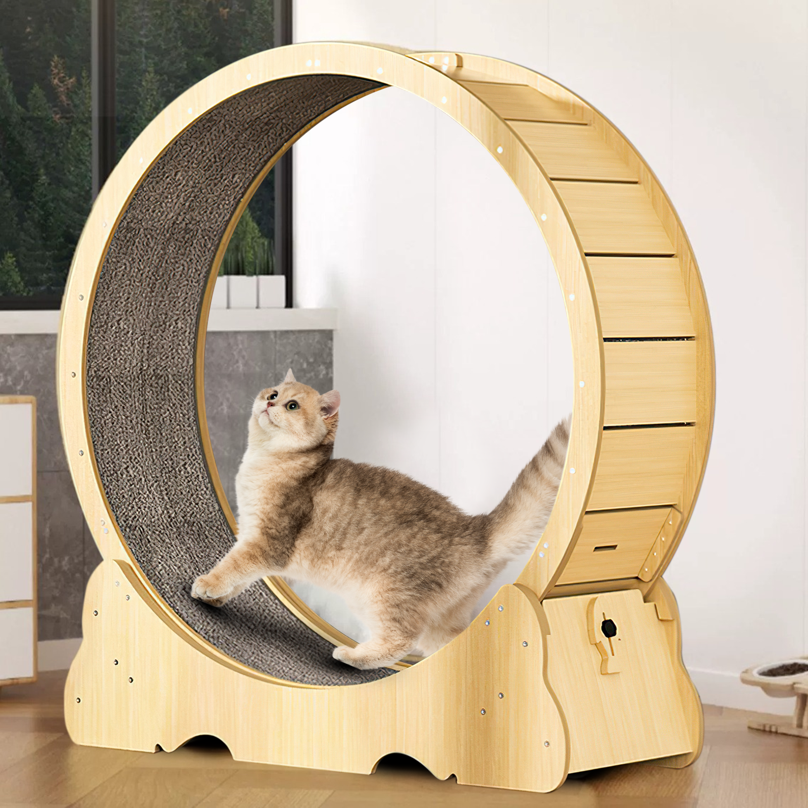 EVIO 저소음 캣휠 고양이스크래쳐 업그레이드 모델, 1개, 원목색 129,900원