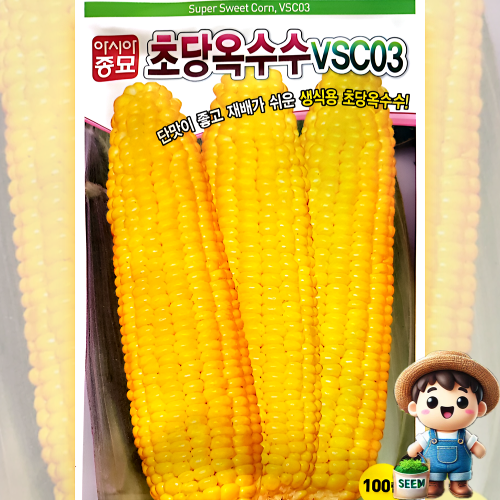 초당옥수수 씨앗 100립 [23년포장] 옥수수씨, 1개 4,500원
