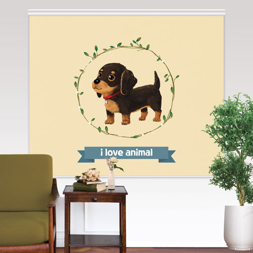 [아르테홈] 실사 암막롤스크린 (캐릭터4 닥스) 50,000원