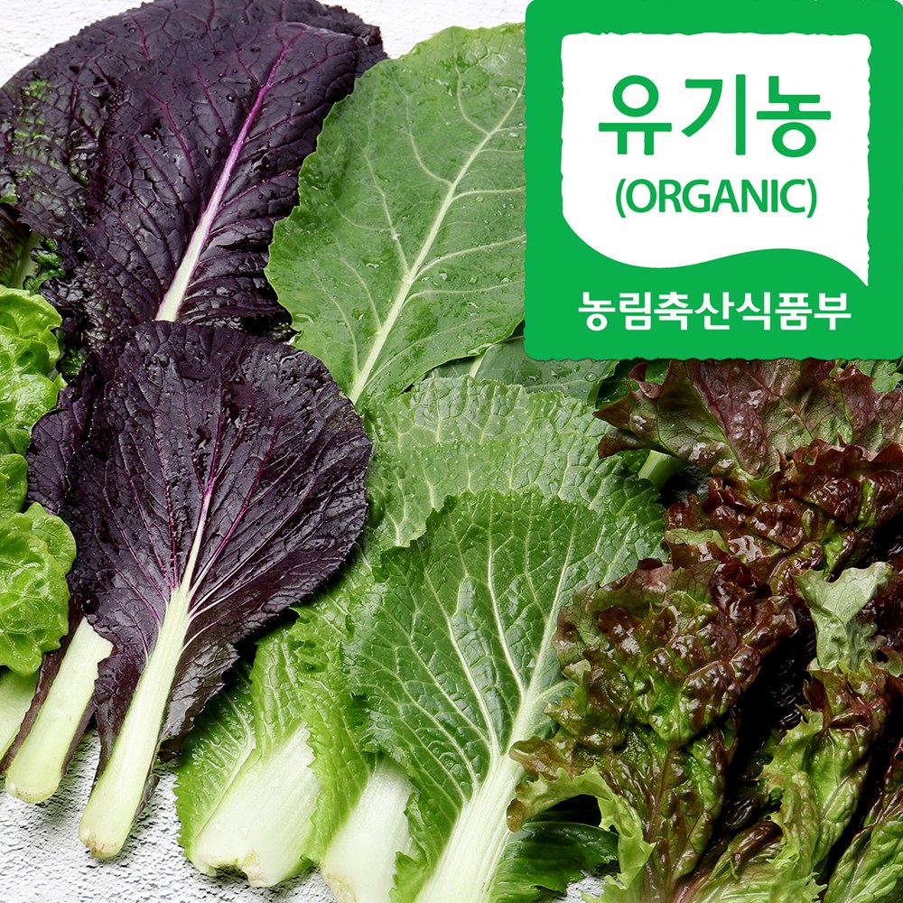 자연마을 친환경인증 유기농 당일수확 모듬 쌈 야채 샐러드 상추 모듬쌈, 1박스, 600g 15,400원