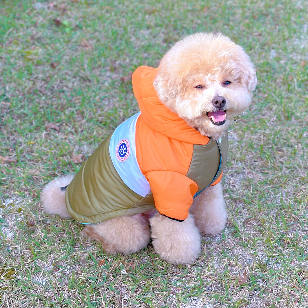 MAAH 강아지 멍끌레오 후드 패딩 하네스 올인원, 오렌지, 1개 12,500원