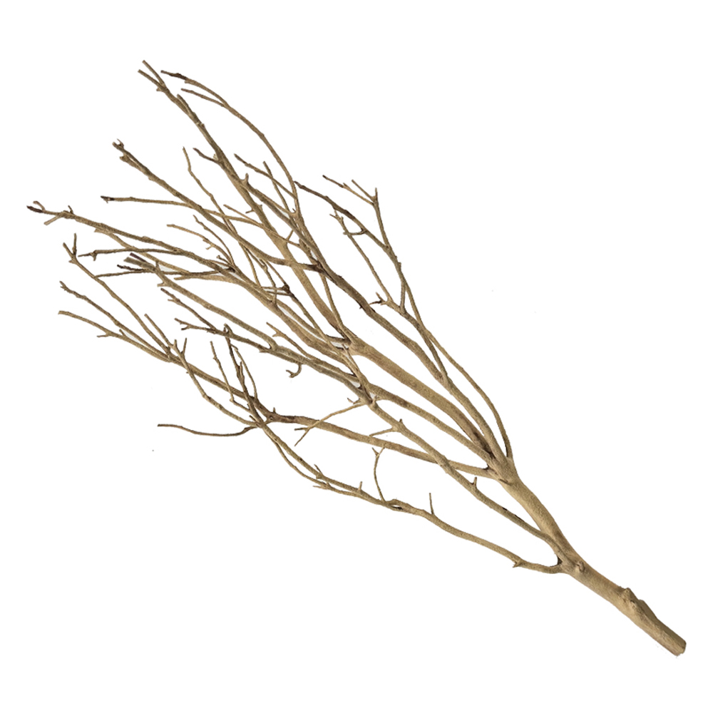 샘아쿠아 관상어용 리프레쉬 만자니타 샌딩 유목 62,000원