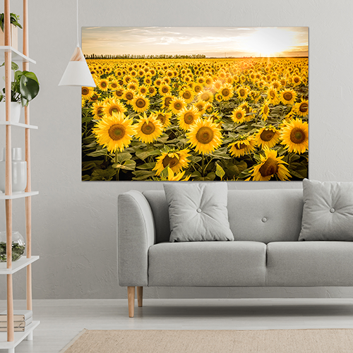 [집들이 선물 추천] 인테리어 액자 거실 카페 복을 부르는 금전운 재물운 풍수 해바라기 그림액자, 1개 155,500원