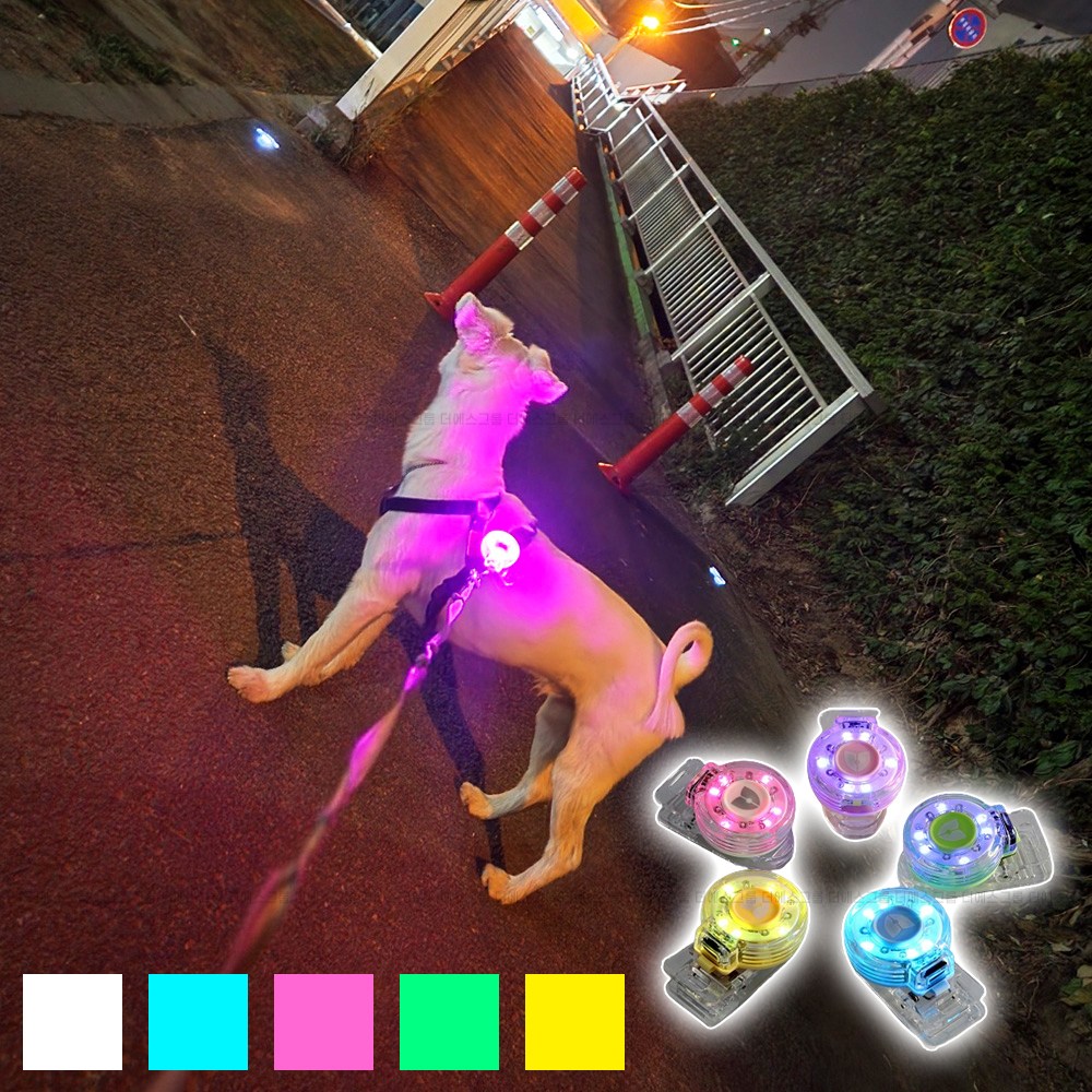 나이트가디언 P미니 반려견 야간 산책 LED 목걸이 클립형 USB 충전식 펜던 방수 후레쉬 21,000원