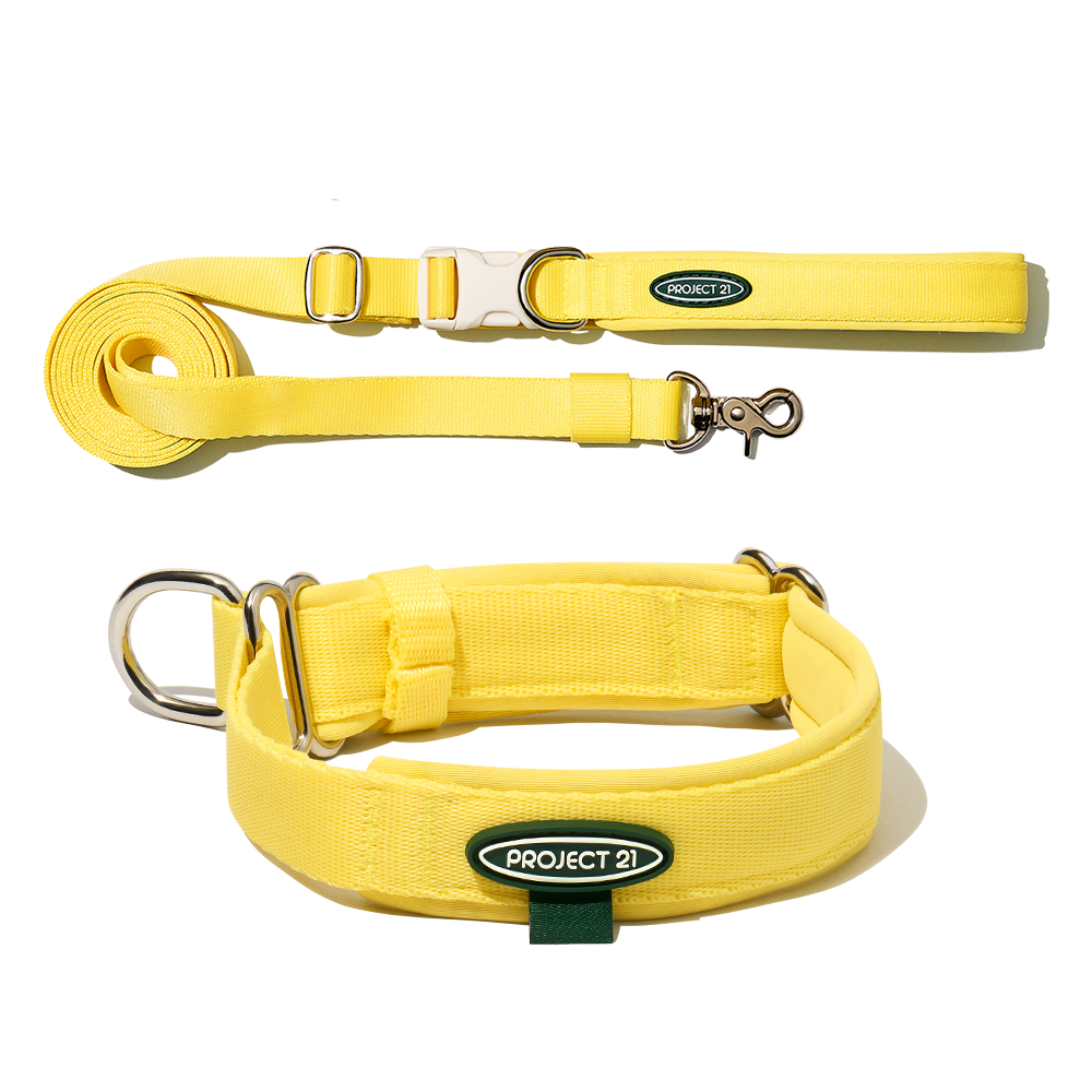 프로젝트21 마틴게일 목 보호 쿠션 목줄 세트 저자극 훈련용 교육용 산책 간편착용 소형견 중형견 대형견 46,900원