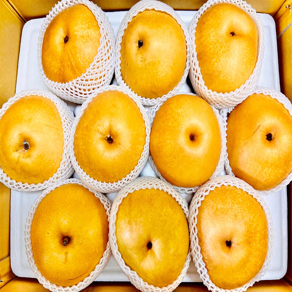 스마일프레쉬 맛있는 나주배 신고배 과일 배 선물세트, 1개, 나주배 5kg 가정용(6-14과) 20,970원